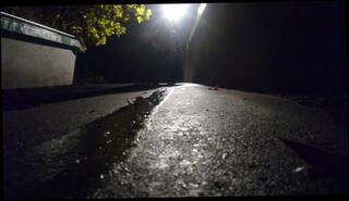 Video 1590600683: pov pissing, solo male piss, smoking fetish pov, amateur pov cock, amateur pov dick, big dick pissing, amateur public piss, piss spit, arab piss, piss french, pissing outside