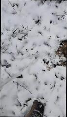 Video 1608335081: solo piss masturbation, piss cum gay men, solo handjob cum, solo handjob cumshot, solo amateur cum, solo masturbation hd, one piss