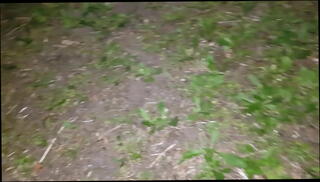 Video 891762555: mistress, high heels ball busting