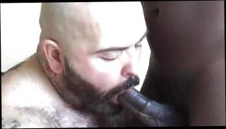 Video 411083201: daddy blows bear, daddy bear blowjob, gay daddy bear, fat daddy gay, blow job, blow hd