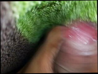 Video 1577811461: boy handjob cum, gay boy handjob, gay men masturbating cumming, indian boy handjob, gay boys older men, gay old men cumming, guy handjob cum, gay boy hd