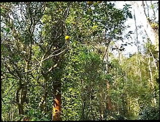 Video 1576610601: amateur sex massage, massage gay sex, massage amateur cock, massages guys cock, indian cock massage, massage guys dick, outdoor sex massage, massage big cock guy, massage men sexs, small cock massage, massage spanking, fisting massage, massaging latino, hd massage, pierced cock, naked funny, dick swinging, extreme cock, huge cock, cute penis