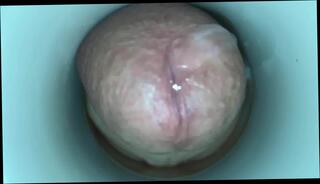 Video 365247601: masturbate cum cam, cock big cum masturbation, amateur cam masturbation, webcam masturbation cum, gay masturbation cum, old gay man cum, masturbating asian cums, amateur masturbation hd, sloppy cunt