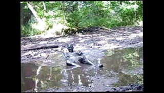 Video 1426780101: gay twink bdsm, latex twink, amateur gay twink, gay twink outdoor, gay german twink, gay twink hot, twink bath