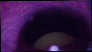 Video 1573419023: fetish solo masturbation, solo masturbation anal sex, solo masturbation sex toys, anal insertion solo masturbation, fetish anal fisting, solo male sex toy, hardcore fisting fetish, fetish anal fuck, solo masturbation ass, amateur anal fetish, rough anal fetish, solo masturbation huge, camera solo, anal ball insertion, 60fps anal