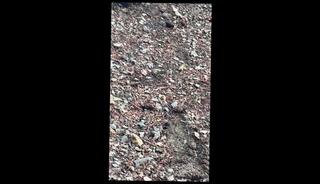 Video 1653132083: slamming amateur, furry, hungry boy, master, casting amateur, amateur time