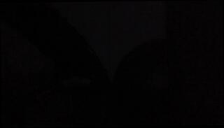 Video 308231301: shemale ass cock, big butt shemale