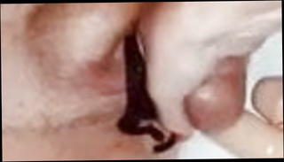 Video 1474758701: shemale dominates couple, sex toys domination, amateur shemale domination, dominant anal sex, dominant ladyboy, hot dominant shemales, domination sexy, dominant mature, german domination, stockings domination