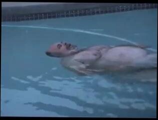 Video 250246201: gay daddy bear, pool daddy, daddy outdoor