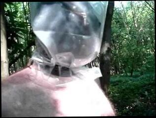 Video 108681501: femdom bdsm, straight bdsm, femdom tied, mistress