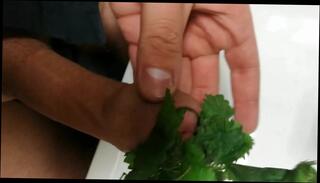 Video 342781701: korean gay, man gay