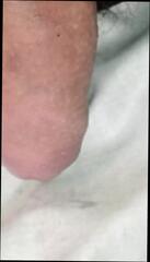 Video 1597150511: twink boys bareback fuck, sex bareback twink boy, gay bareback twink boy, daddy fucks twink bareback, bdsm gay boys twinks, twink bareback fucks cum, twink bareback fucking amateurs, bareback fuck young twink, african twinks bareback fuck, twinks bareback group fuck, twink grandpa fuck, fuck white twink bareback, twink outdoors bareback fucking, uncut twink boy, bdsm ball gag, grandpa uncut cock, crossdresser fucked bareback, big uncut twink cock, black twink barebacks amateur, twinks blowjob bareback, crossdresser pumping, straight boy fucked bareback, gay twink boys small, twink fuck old gay, gay man fucking twink, twink mature gay sex, grandpa fucks younger, indian crossdressers fucking, older daddy bareback, fucking bareback hd, bareback foursome, colombian crossdresser, desi crossdresser, masturbation porn