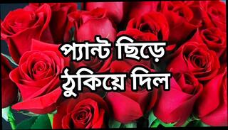 Video 1622892271: gay sex porn ass, gay porn sex stories, porn homemade sex, sex gay porn big, desi bangladeshi homemade sex, hd desi porn sex, sex porn mature, sex stories hot