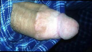 Video 367721901: gay cock porn twink, twink fat gay porn, big cock gay twink, twink gay hunks, amateur twink cock, gay twink hd, twinks pants, twink heads