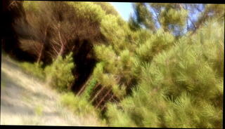 Video 1182329301: feet, blows cock balls, gay cock balls, cock naked gay, tied balls cock, blowing one cock, blowing cock outdoors, pie