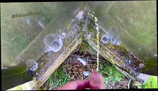 Video 1631128873: pissing peeing fetish, solo pee fetish, gay uncut boys pissing, uncut dick piss, solo male piss, pov pissing, pissing gay sex boys, gay sex pissing men, pissing big gay dick, jerking big uncut dick, solo amateur jerking, pissing boys public, guy jerking piss, european amateur pov, close solo amateur, pissing 18 year old, public nature pissing, mirror pov, hot piss, uncut military, pov 18yo