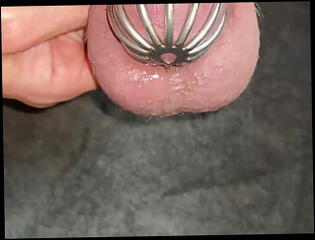 Video 1600335101: sissy crossdresser tiny cock, crossdresser sissy slave, sissy slave bondage, sissy twink crossdresser, fetish crossdresser sissy, bdsm bondage slave, tiny gay twink dick, twink sissy boy gay, cock bdsm fetish cum, twink gay sex slave, sissy caged cumming, small penis humiliation sissy, boys humiliate white twinks, tiny uncut dick, sissy crossdresser masturbates, amateur sissy crossdresser, chubby gay twink, cage pov, rough bdsm bondage, twink boy cumshot gay, gay twink cum shot, twink handjob cum, cage vibrating, twink sex hd, gay belgian