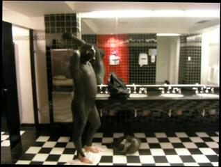 Video 70362803: fetish gay solo, fetish amateur gay, fetish male gay, fetish mask, fetish hotel, fetish fantasy, stockings fetish