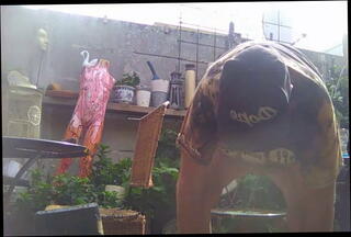 Video 1569182061: bareback gay porn, gay bareback big cock, masturbate gay bareback, amateur bareback cock, gay bear bareback, nice gay bareback, fat cock bareback, outdoor bareback gay, handjob bareback, dutch porn