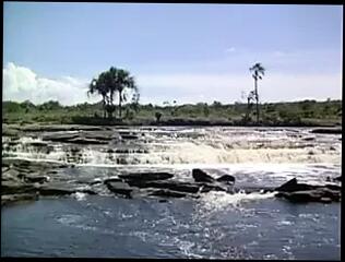 Video 84199901: vintage softcore, vintage straight, classic softcore