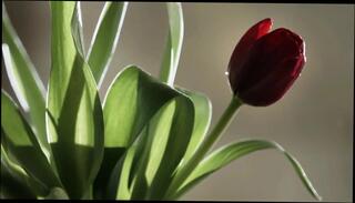 Video 142701801: hot amateur blonde babe, hottest amateur babes, hot amateur straight, hot cum loving