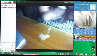 Video 1550902101: grandpa, daddy cam, daddy webcam, daddy cumshot, straight daddy