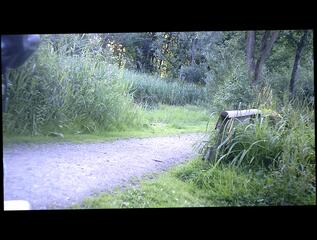 Video 1582548651: solo gay amateur, daddy bear solo, amateur solo hd, solo european, german solo, outdoor solo, public solo