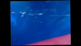 Video 672883425: shemale crossdresser ladyboy, crossdresser tranny shemale, big cock crossdresser, crossdresser big tits, crossdresser masturbation, tranny shemale trans, transexual tranny shemale, transsexual ladyboy, ts cum