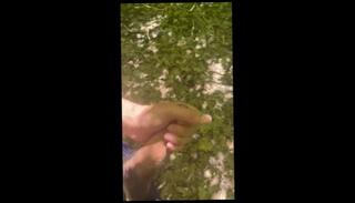 Video 1596540103: solo gay uncut cock, hairy big uncut cock, bbc solo jerk, hairy uncut dick, hairy cock twink, hairy twink cum, fetish solo jerks, bbc solo cumshot, tattoos hairy bbc, hairy men solo, hairy male solo, hairy gay dicks butt, hairy bubble butt, huge uncut cock gay, uncut cock handjob, amateur uncut cock, massive uncut cock, uncut cock outdoor, cum shot hairy, bbc huge load, hairy public, exhibitionist solo