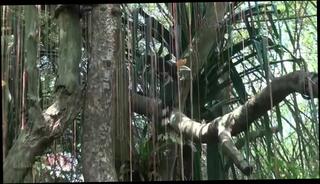 Video 35706304: hope howell, pov hd amateur, friend anime, lovely anime