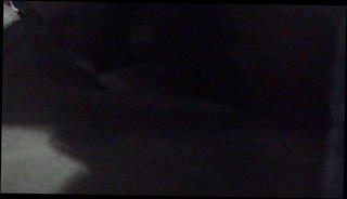 Video 1523748101: pov bareback fuck, bareback creampie fuck, shemale bareback creampie, bareback sex creampie, shemale solo pov, amateur bareback creampie, solo masturbation pov, black bareback creampie, creampie pov hd, solo masturbation sex toys, mature pov fuck, australian bareback, teasing clit