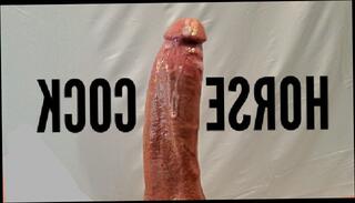 Video 1476107503: dirty talk pov joi, solo male masturbation pov, cum joi pov, pov solo cumshot, solo cock masturbation cum, dick solo masturbating cumming, solo guy jerks cock, big cock solo jerk, solo masturbation moaning, cumshot orgasm pov, pov big cock amateur, big white cock pov, solo male huge cumshot, solo male stripper, thick cock pov, pov 60fps, pov head