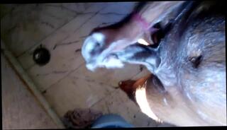 Video 380076101: horny gay cum, cum masturbation horny, horny amateur cumshots, gay cum showers, amateur masturbation hd