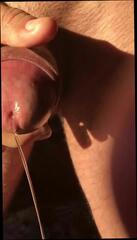 Video 301757101: amateur hunk cock, gay hunk cock, gay man big cock, big beautiful cock