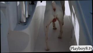 Video 80974404: bad ass babes, nasty games, babe face, big tits public, big tits hd