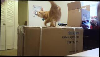 Watch the video about Is THIS missing from your game room or setup? - NewAir AB-1200B MiniFridge