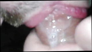 Video 1194537501: hairy hunk bareback, hairy gay bareback, hairy bear bareback, bareback cum swallow, blowjob barebacking gay, hairy student, gay hairy old, young hunks bareback, hd hairy