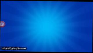 Video 971448485: black shemale sex