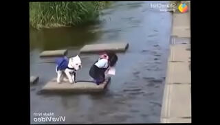 Video 787385565: amazing collection, big boobs tits