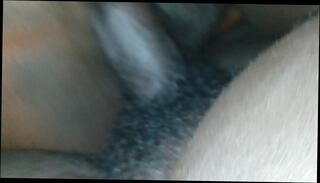 Video 1097338795: femdom pussy, skin bitch, good bitch, wet pussy