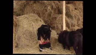 Video 1597200751: valentine demi, vintage retro porn, vintage hardcore retro, italian vintage porn, vintage european porn, retro pornstar, vintage straight, retro hard, hd vintage