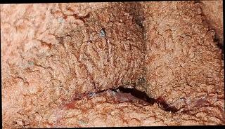 Video 1623227711: twink bareback threesome, gay bareback twink boy, bareback twink gay sex, daddy barebacks asian twink, barebacks young twink gay, bareback horny twinks, twink bareback cum, japanese twink bareback sex, chubby gay twink, homemade twinks bareback, twink teen bareback, twinks blowjob bareback, twink old grandpa, muscle twinks bareback, gay twink boy naked, twinks gays boys masturbations, indian gay boys threesome, gay men bareback sex, twink handjob cum, pornstar threesome sex, old teen twink, gay twink older, desi indian threesome sex, twink old gay man, twink cum mouth, gay bareback hottest, teen threesome hd, cum ejaculation, ejaculation hot