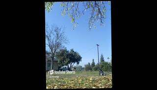 Video 1621074643: interracial fetish, solo interracial, solo amateur latin, amateur asian interracial, amateur solo male, chinese interracial, doggy