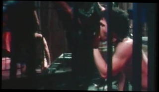 Watch the video about A Night at Halsted's (1981)