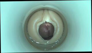 Video 327313901: 3d, gay sex man cocks, sex toy big cock, straight man gay sex, masturbation sex toy, amateur masturbate toying, cum cam man, cock face cum, amateur masturbation hd