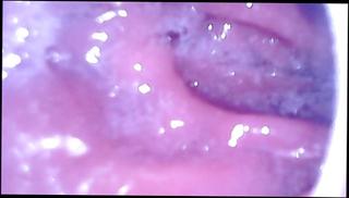 Video 385270701: hardcore anal ass, ass anal hd, straight ass, camera inside ass