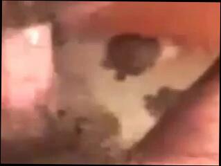 Video 163899601: babe straight, ex babe, deutsche babe, german babe