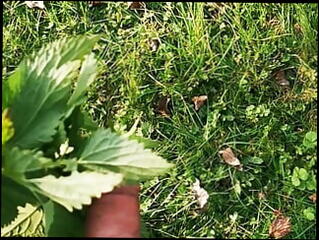 Video 1619721081: penis piercing, gay penis, penis outdoors, public gay outdoor, gay hd