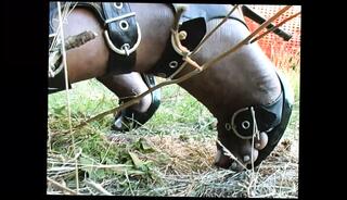 Video 1583585301: latex milf fuck, vintage latex, shemale fucks milf anal, amateur milf anal fuck, latex shemale fucks guy, italian amateur milfs anal, milf mature fuck anal, milf blowjob mature amateur, milf blowjob handjob, milf anal masturbation, shemale stud, milf anal hd, best italian porn