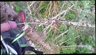 Video 1583056743: pissing urinal, solo male piss, hard cock pissing, pissing amateur, male pissing outdoors